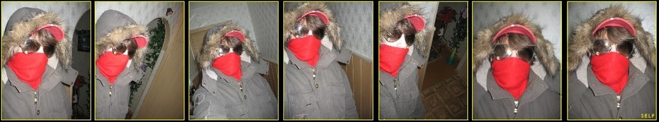 2007-02-17 14:21:58: gop-style.с кастинка на быдло-тв