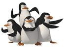  (2007-01-28 13:28:52)