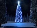 (2007-01-28 13:58:47)