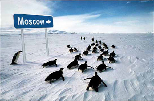 2007-02-22 16:06:31: 