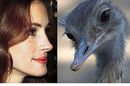  (2007-02-22 16:12:44)