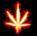 апокалипсис666:  | 2007-02-24 00:40:04