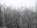  (2007-02-25 23:07:55)
