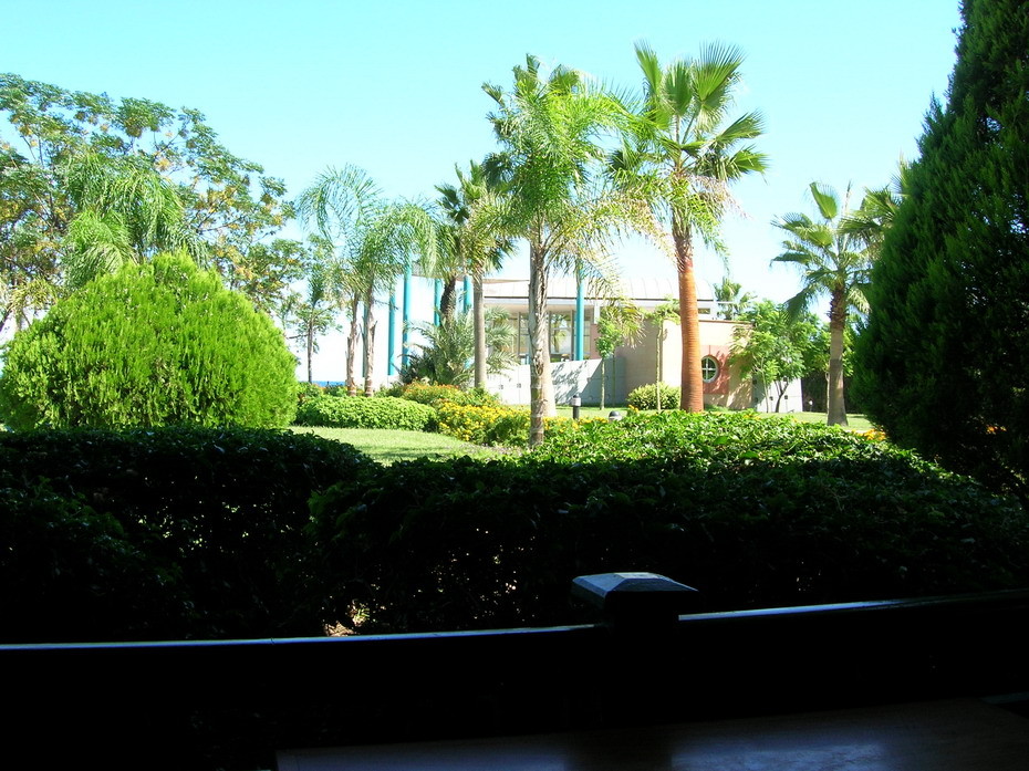 2007-02-26 16:39:17: 
