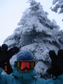  (2007-03-01 15:25:43)