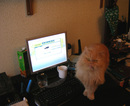 а вот он мне постоянно мешает... (2007-03-02 13:01:12)