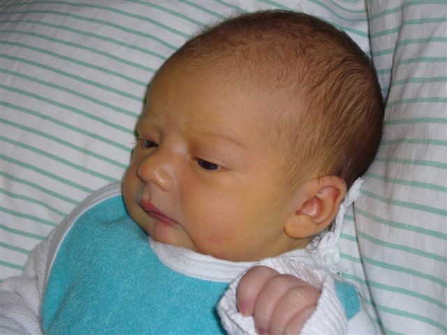 2007-03-03 10:33:50: 