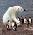 (2007-03-11 19:26:02)