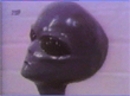 Умный Бодя:  | 2007-03-17 14:19:04