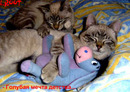 11 (2007-04-07 17:29:02)