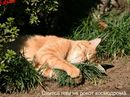 _Frontovik_: 20 | 2007-04-07 17:30:28