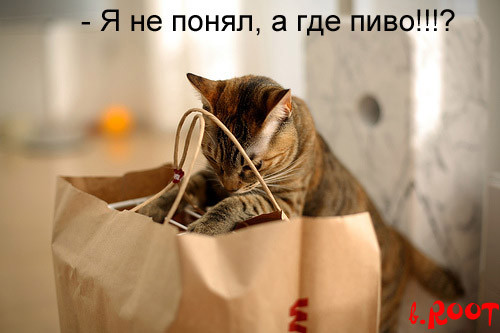 2007-04-07 17:31:07: 24