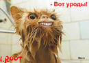 26 (2007-04-07 17:31:27)