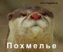  (2007-04-09 14:17:44)