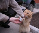 Чем то на меня похож... ??? (Я не алко) (2007-03-30 17:40:48)