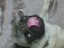  (2007-05-01 14:17:37)