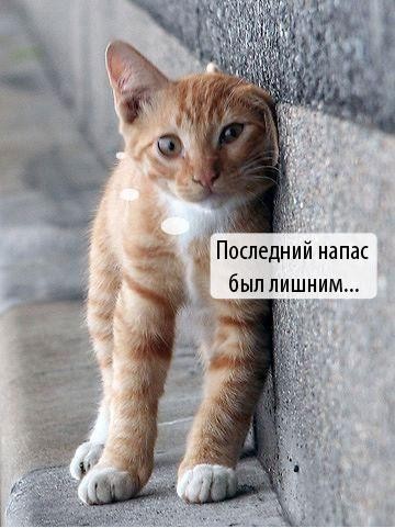 2007-06-01 18:35:38: 