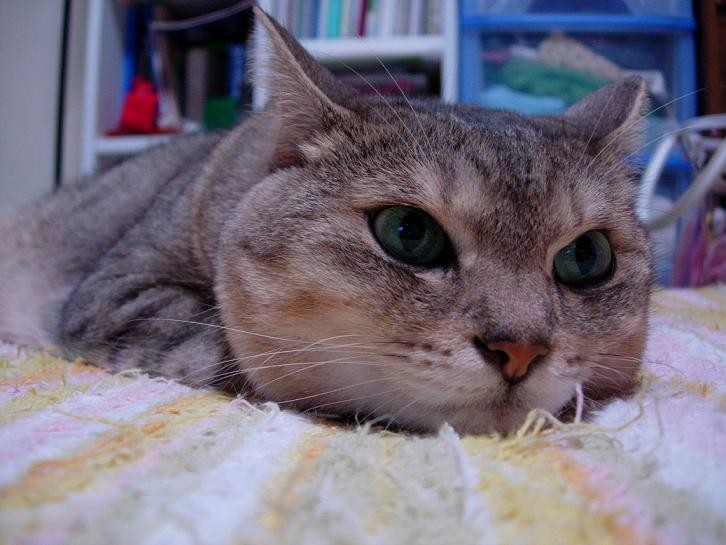 2007-06-01 18:46:59: 