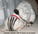  (2007-06-08 21:17:11)