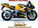  (2007-06-13 20:58:59)