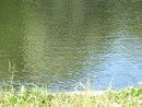  (2007-06-24 17:15:02)