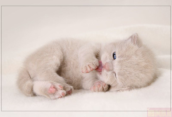 2007-04-05 00:22:59: 