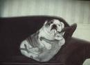  (2007-07-02 14:50:38)