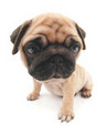  (2007-07-08 23:34:59)
