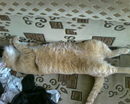 Хакерок:  | 2007-08-15 21:59:31