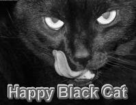 2007-09-15 06:03:49: Аваторка персонажа - "Happy Black Cat"