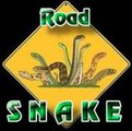 Аваторка персонажа - "road snake" (2007-09-15 09:56:31)