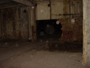 Memorex:  | 2007-10-04 20:23:13