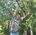  (2007-10-05 12:34:54)
