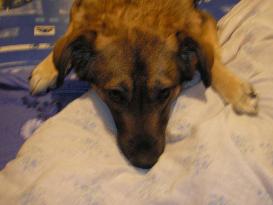 2007-10-11 01:04:23: 