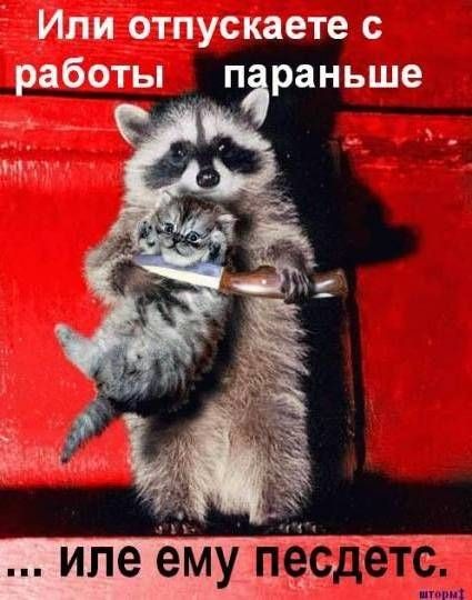 2007-10-23 11:56:06: 