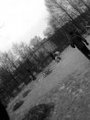 maloy6:  | 2007-11-27 17:19:31