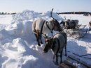 когалым,гонки на оленях (2007-12-24 19:18:40)
