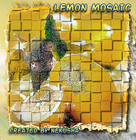 2008-01-02 11:05:15: Lemon Mosaic [by NeKuSHa]