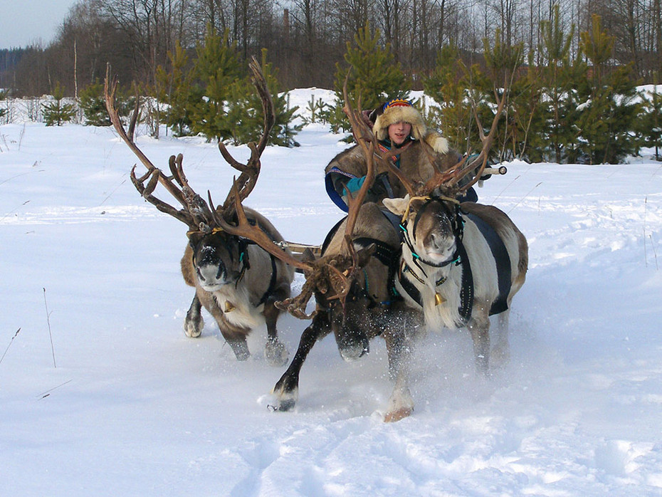 2008-01-03 14:59:41: На средний алень аднака новый тормозные капыта паставил !