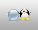  (2008-01-10 17:28:22)