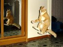  (2008-01-14 22:44:58)