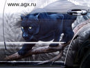  (2008-02-01 19:21:25)