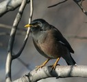  (2008-02-28 18:31:10)