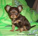  (2008-06-30 14:58:59)