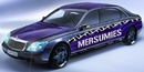 MW-Mersumies (2008-03-06 11:34:04)