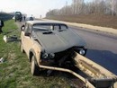 ваз на шампуре (2008-07-31 21:35:06)