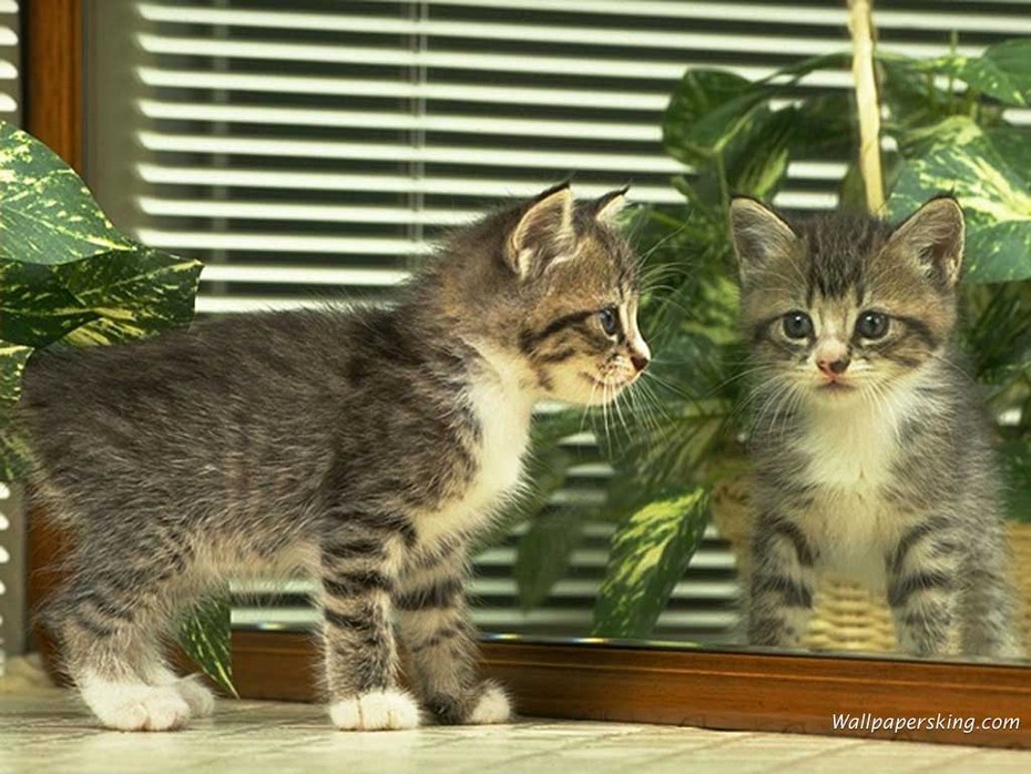 2008-08-03 21:58:26: 