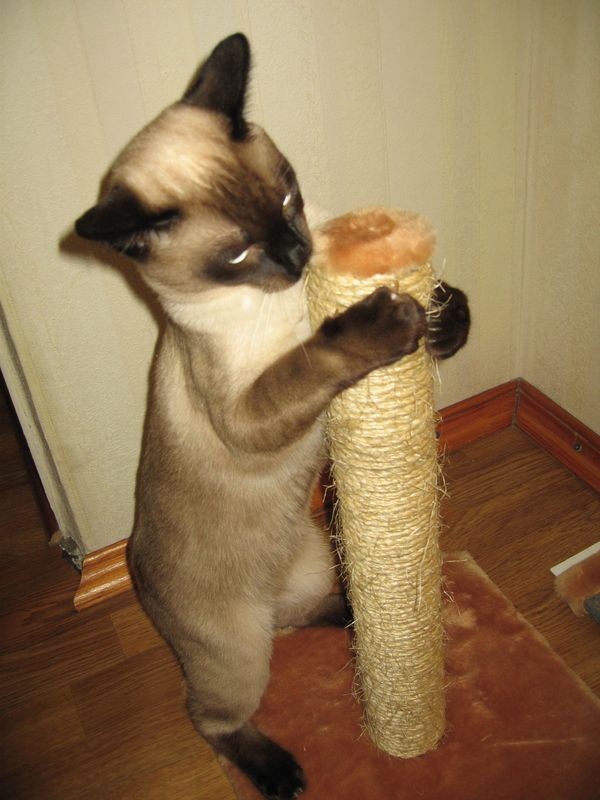 2008-08-06 15:04:28: чмОкнем))