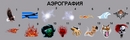  (2008-09-09 14:16:58)