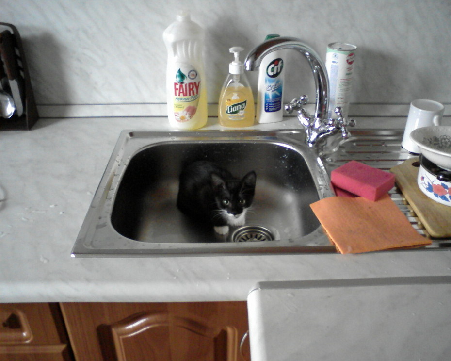 2008-10-10 22:25:37: ..."мыть посуду - мое любимое занятие"...